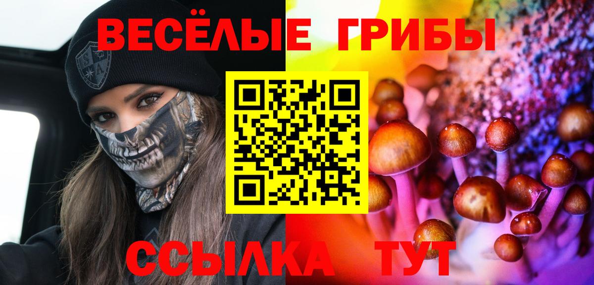 Псилоцибиновые грибы мухоморы  Вход с VPN  наркота  Галлюциногенные грибы Psilocybe  Мелеуз 